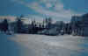 terwormwinter2-com800.jpg (65019 bytes)