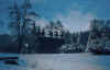 terwormwinter4-com800.jpg (70088 bytes)